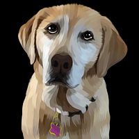 Chien à fourrure d'or