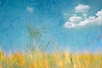 Grenzenlos / Unlimited