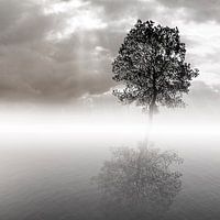 Rue de Venice in Paris