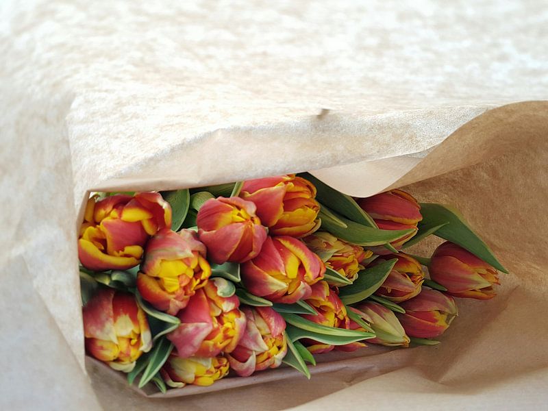 Verpakte bloemen. by Stanley Sussenbach