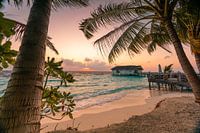 Palm beach in the morning