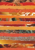 Orangenapfel in Streifen