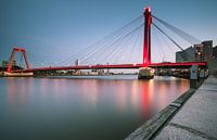 Blauwe uur- Willemsbrug