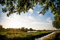 Goudse Hout // Gouda, Niederlande