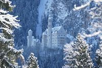 Schloss Neuschwanstein
