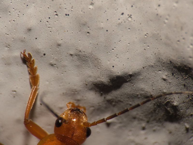 Unterwegs für das Foto von JacQ