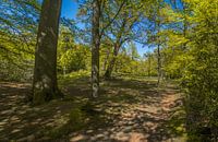 Stania State Panorama (bij Oenkerk)