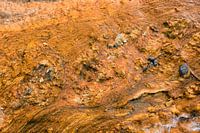 Le parc de Yellowstone (Wyoming) en toile de fond