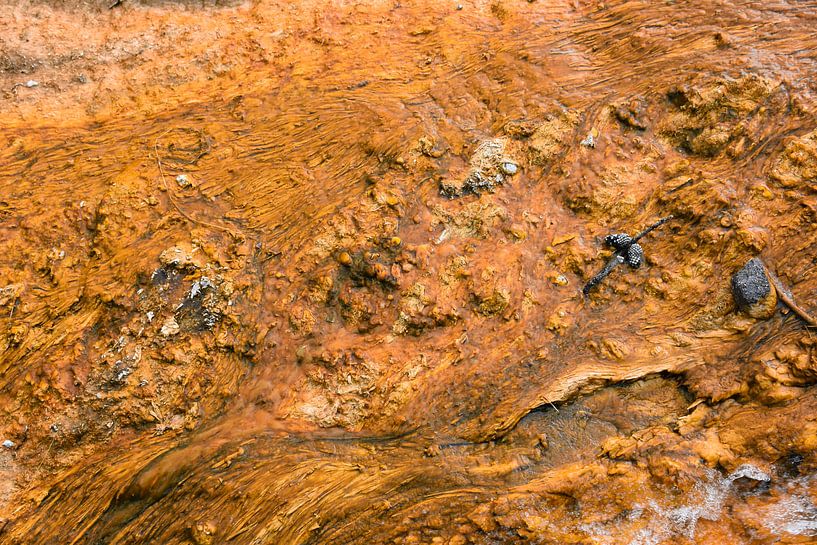 Le parc de Yellowstone (Wyoming) en toile de fond par Peter Out