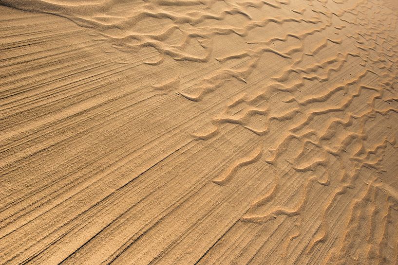 windparaph von Leendert Noordzij Photography