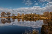 Dwingelderveld l'un des derniers jours de l'automne