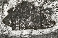 "Nature seen achromatically"