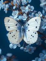 Delfts Blauwe Vlinder op wit met blauwe bloemen