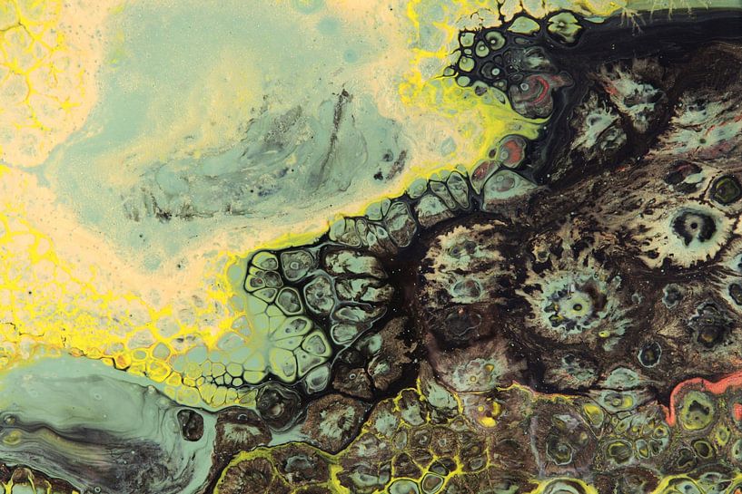 Un monde plus vert par Joke Gorter