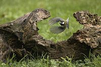 gerade noch rechtzeitig