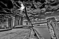 Erasmusbridge (dramatic)