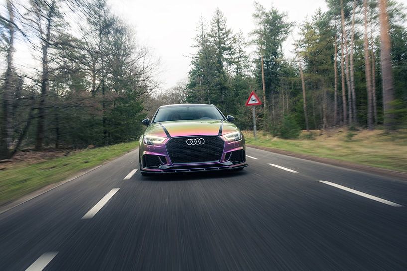 Audi RS3 Parked in the Forest – Nature and Automotive Wall Art by Sebastiaan van 't Hoog