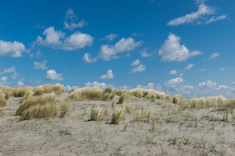 Schafswolken über den Dünen von Patrick Verhoef