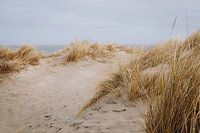 Stürmisches Wetter in den Dünen am Strand des Nordkaps von Texel | Niederländische Landschaften im W