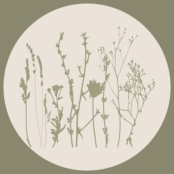 Prairie scandinave Fleurs sauvages minimalistes en vert sauge n° 2 par Dina Dankers