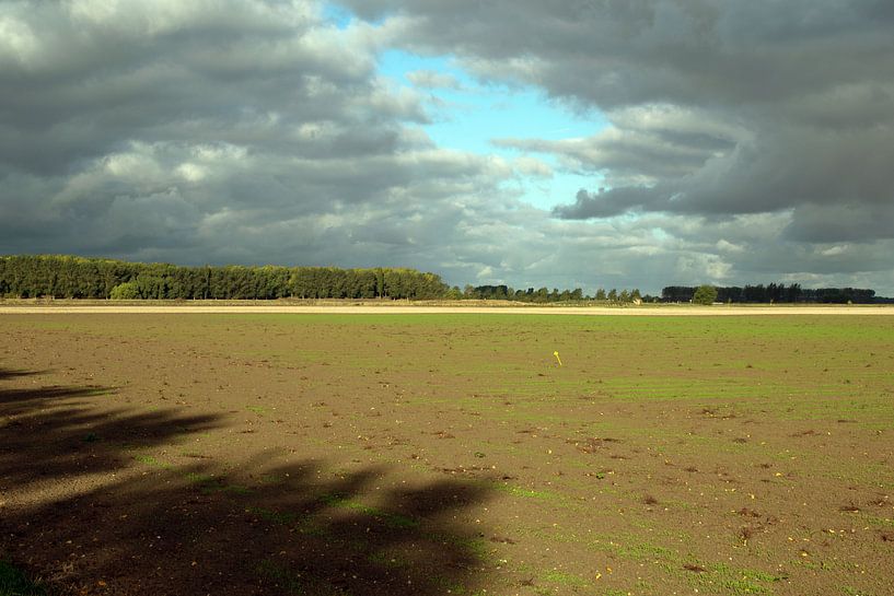 Ombre dans le polder turbulent par Anne Hana