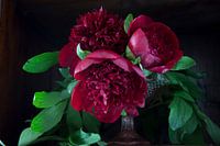 Drie pioenrozen in donkere kast