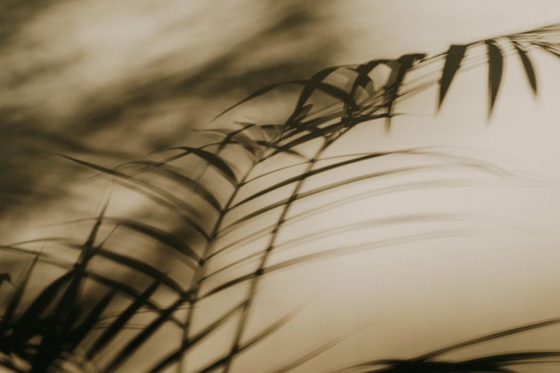 Licht &amp; Schatten von Tessa in Focus