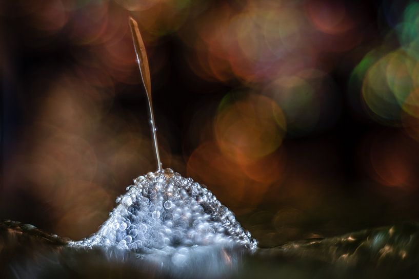 Fusseln mit Wassertröpfchen von Bert Nijholt