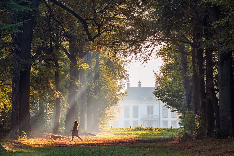 Walking the dog by Pieter Struiksma