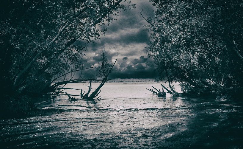 riverside von Jan Brand