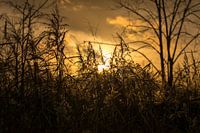 Zonsondergang - Mysterieuze manieren