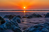 Wie ein Stein im Sand.