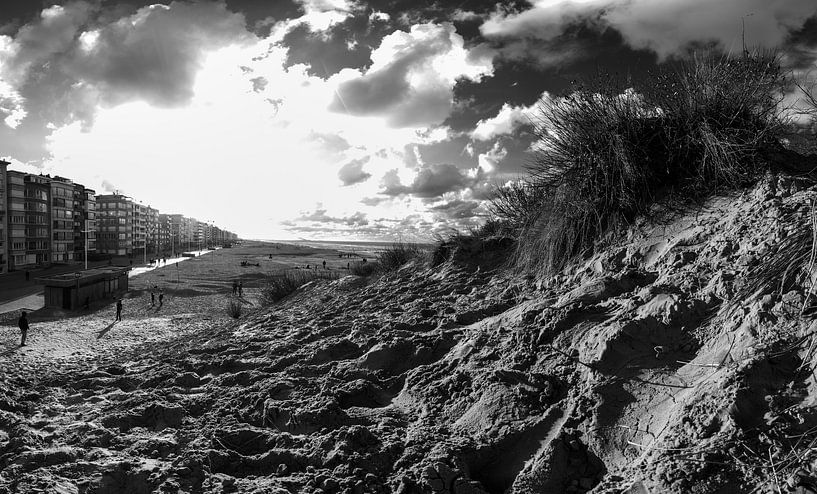 dune with dune grass in Koksijde in black and white by Youri Mahieu