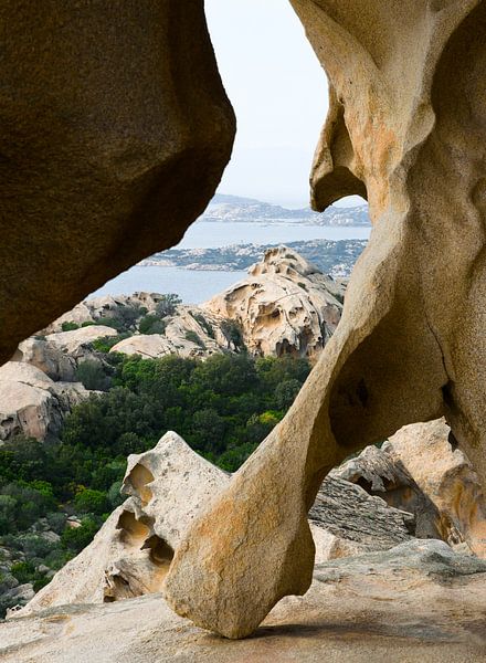 Raubvogel und Bär von Erna Kampman