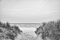 Passage sur la plage d'Usedom avec vue sur la mer Baltique en noir et blanc