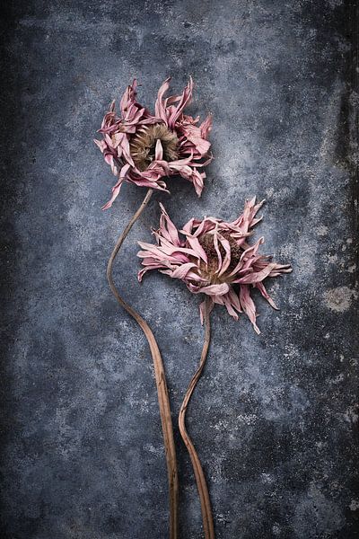 ertrunkene Blumen von Karel Ham