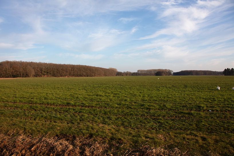 Vergezicht langs een weide in Emsland van Bianca Meyering Fotos - BMF