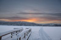 Paysage d'hiver de la Laponie finlandaise