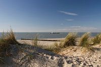 The coast of Flushing