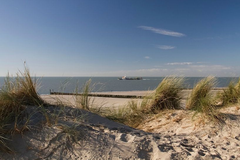 Die Küste von Flushing von Sabina Meerman