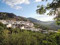 White village in the Spanish hills, between the olive groves