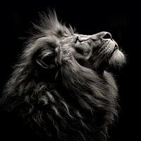 dramatic black and white portrait photo rendering of the head of a male lion